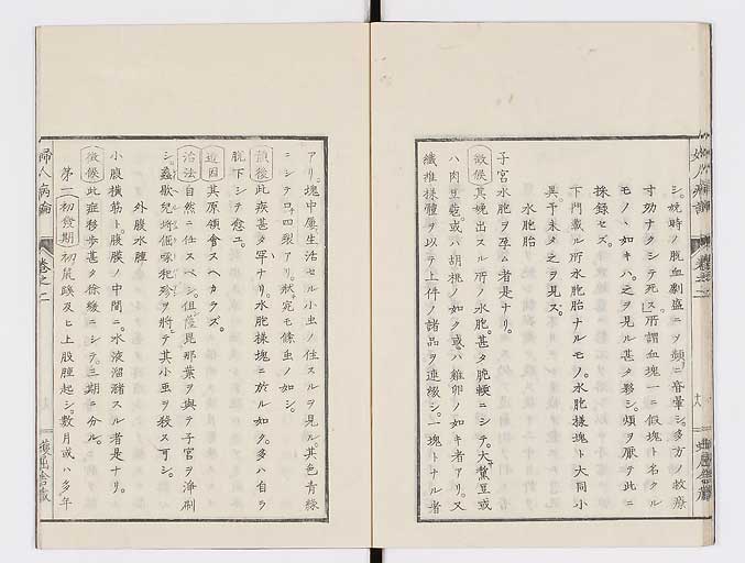 K0123s0064