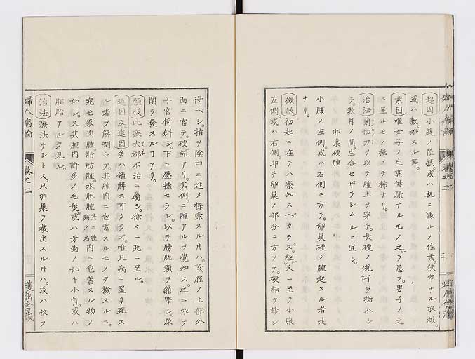 K0123s0066