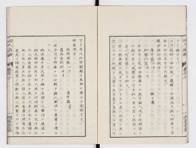 K0123s0078
