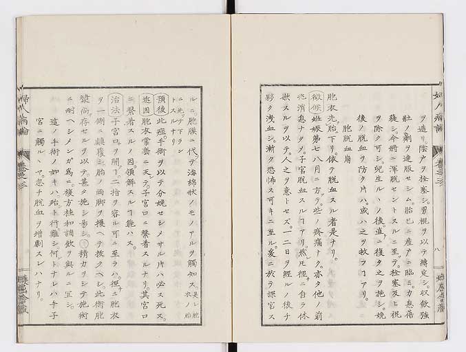K0123s0079