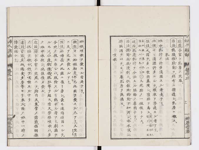 K0123s0082