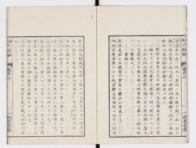 K0123s0083