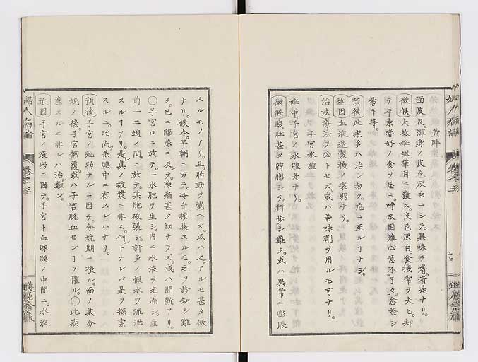 K0123s0088