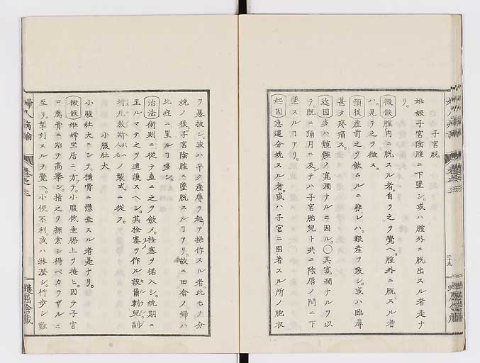 K0123s0096
