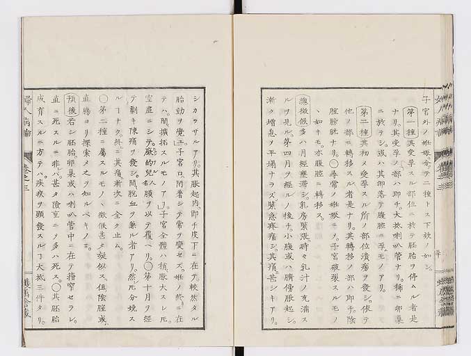 K0123s0101