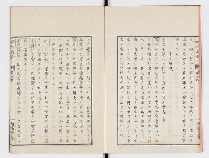 K0123s0118