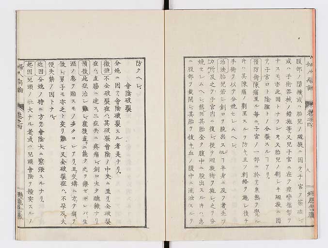 K0123s0119