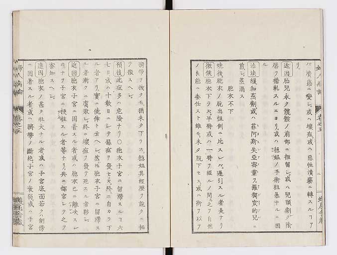 K0123s0131