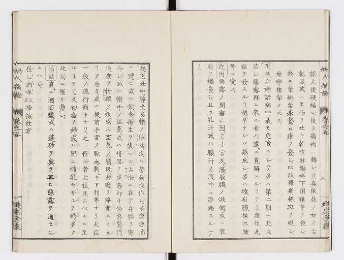 K0123s0137