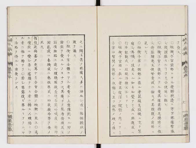 K0123s0141