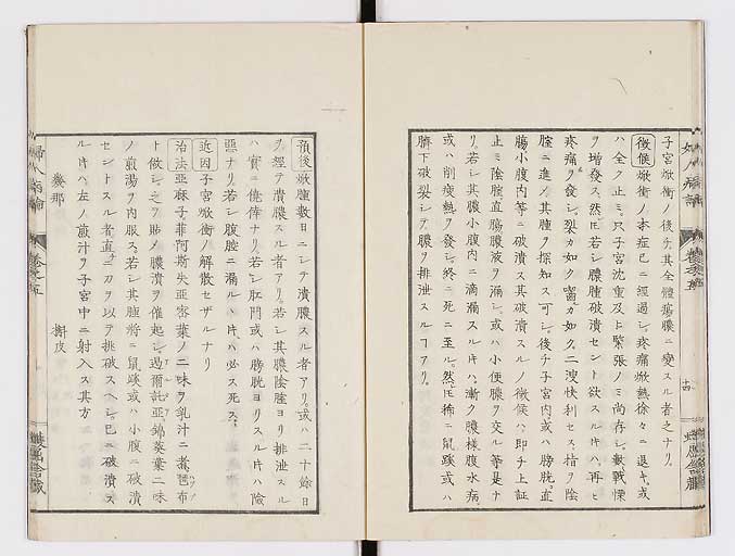 K0123s0143