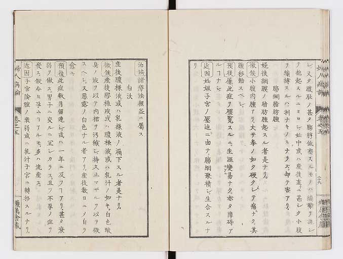 K0123s0155