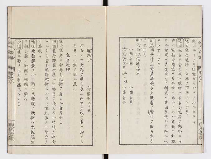 K0123s0165