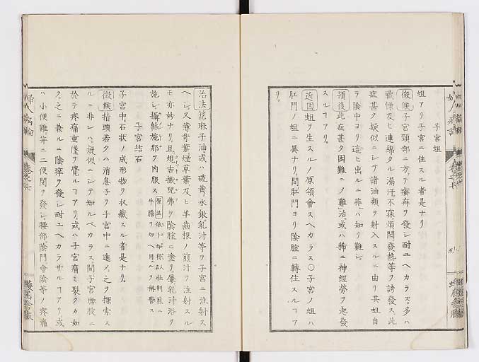 K0123s0178