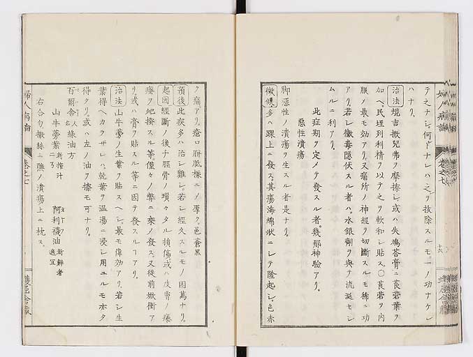 K0123s0189