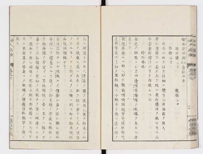 K0123s0190