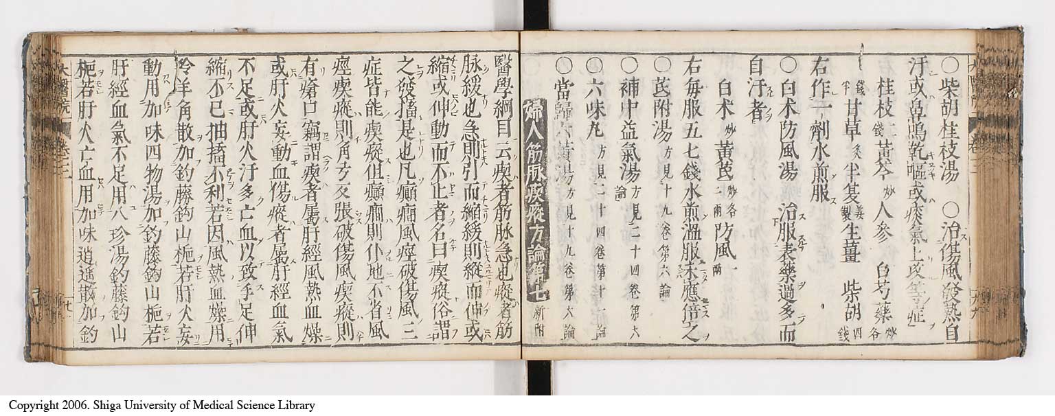 K0124l0086