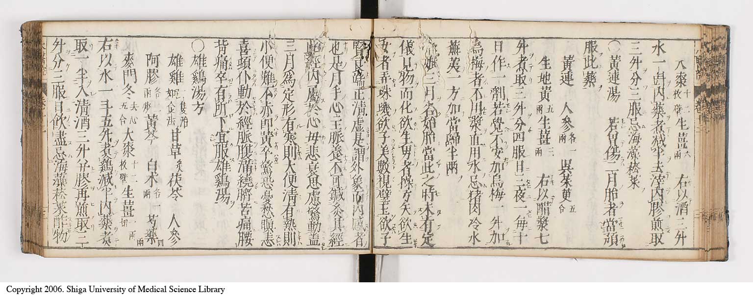K0124l0313