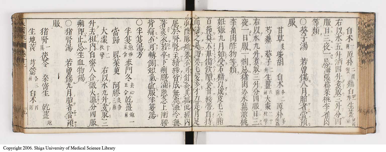 K0124l0319