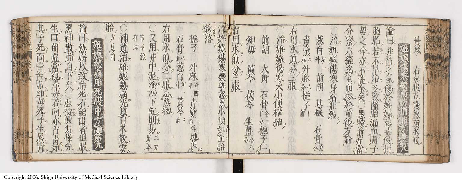 K0124l0363
