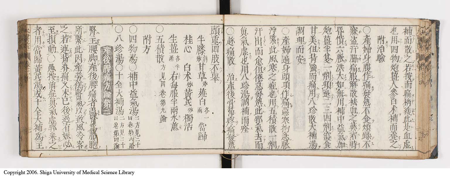 K0124l0446
