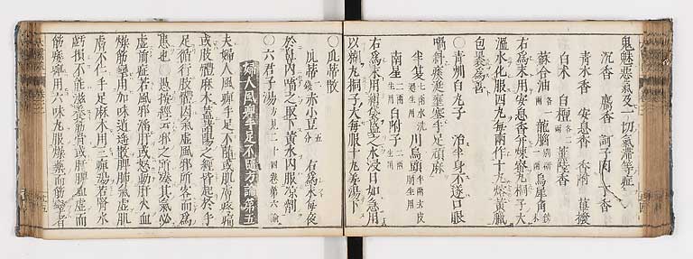 K0124s0081