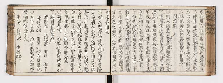 K0124s0190