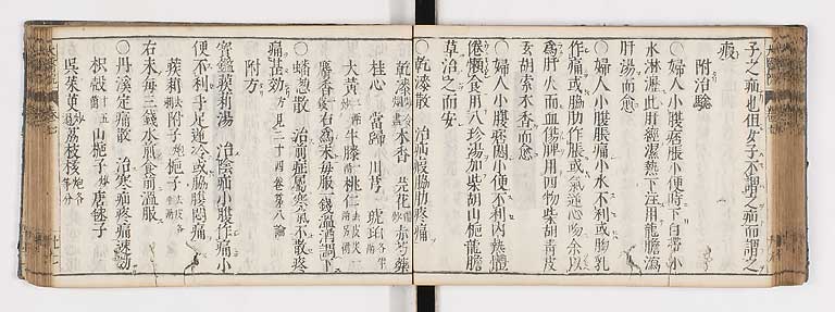 K0124s0219