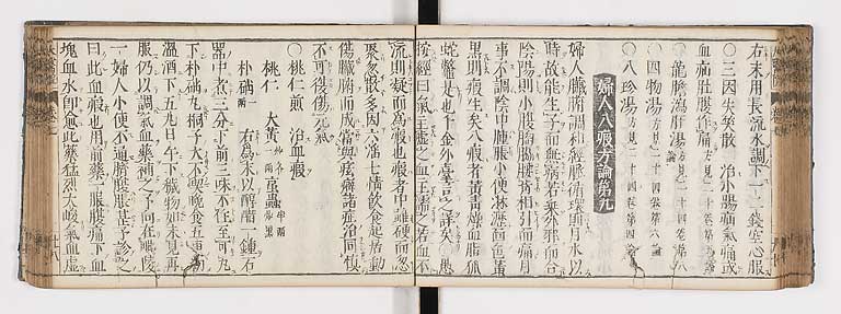 K0124s0220