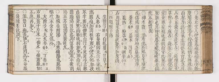 K0124s0258