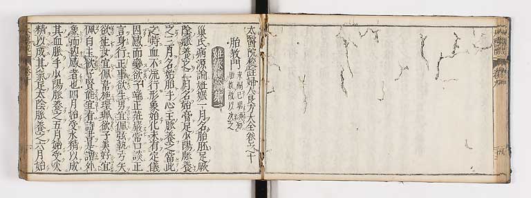 K0124s0291