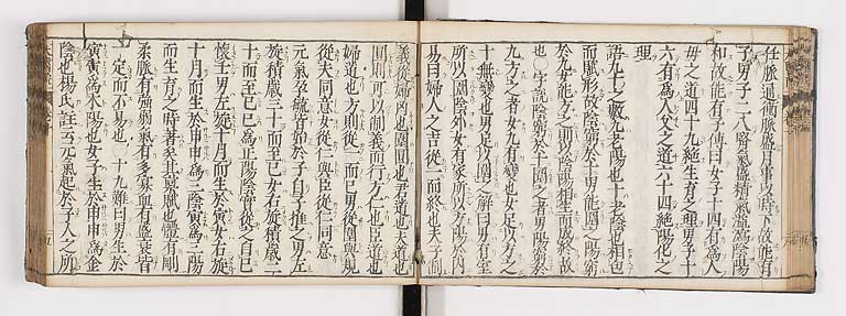 K0124s0299