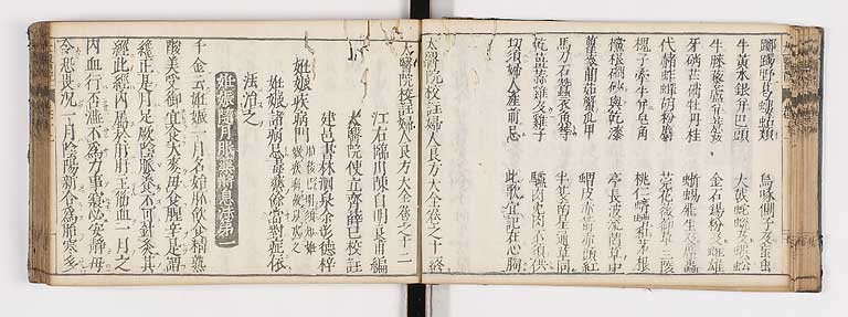 K0124s0311