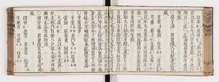 K0124s0319
