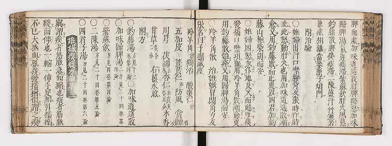 K0124s0355