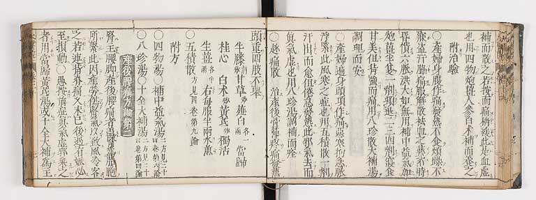 K0124s0446
