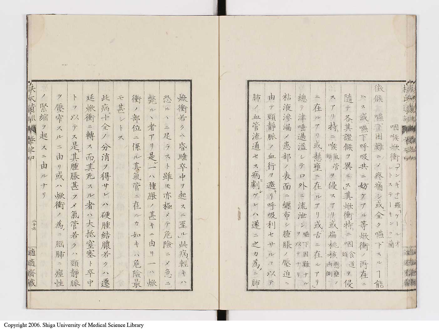 K0125l0116