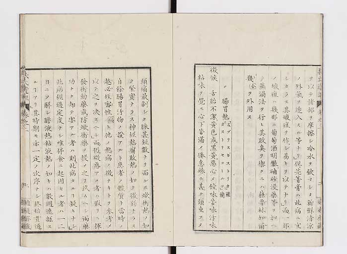 K0125s0043