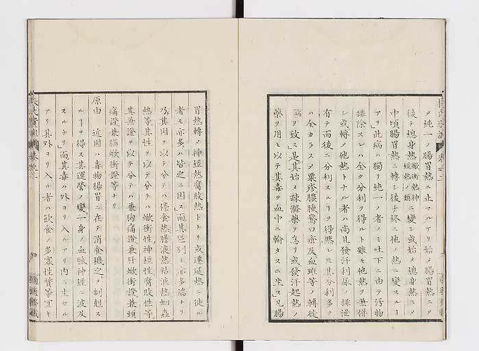 K0125s0044