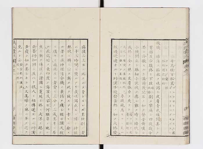 K0125s0061