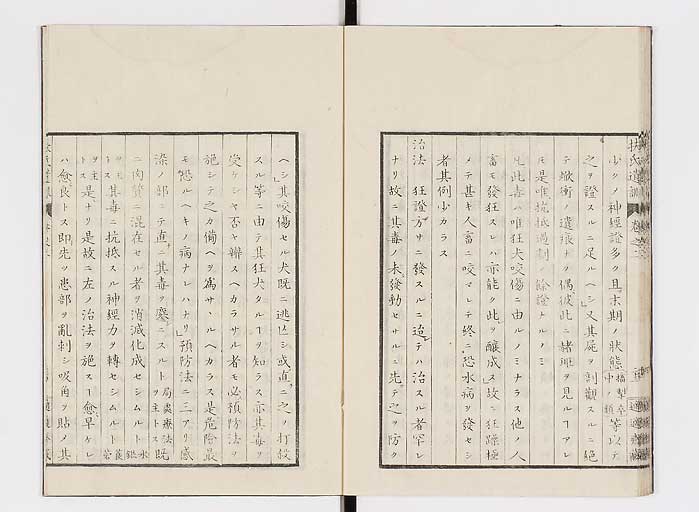K0125s0064