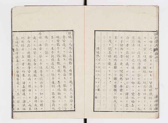 K0125s0081