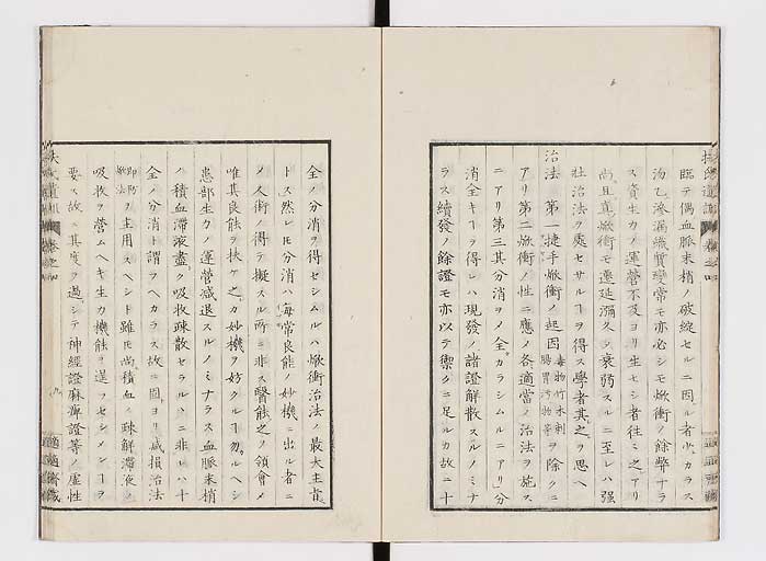 K0125s0099