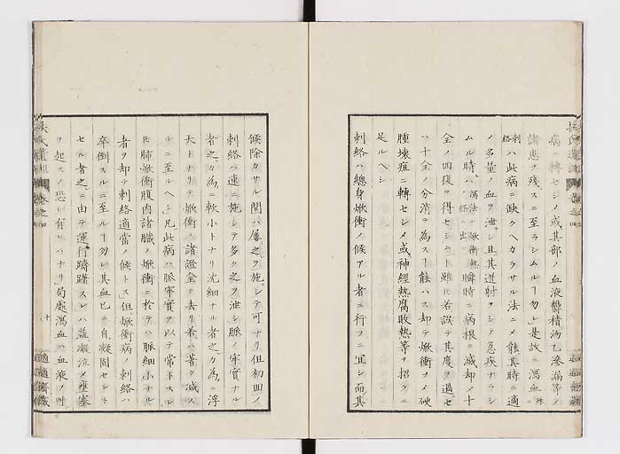 K0125s0100
