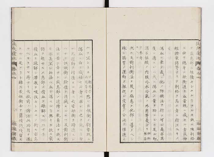 K0125s0101