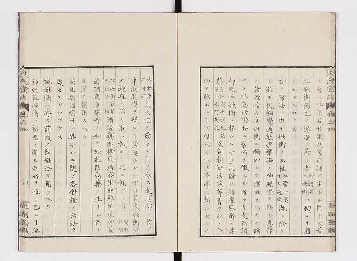 K0125s0102