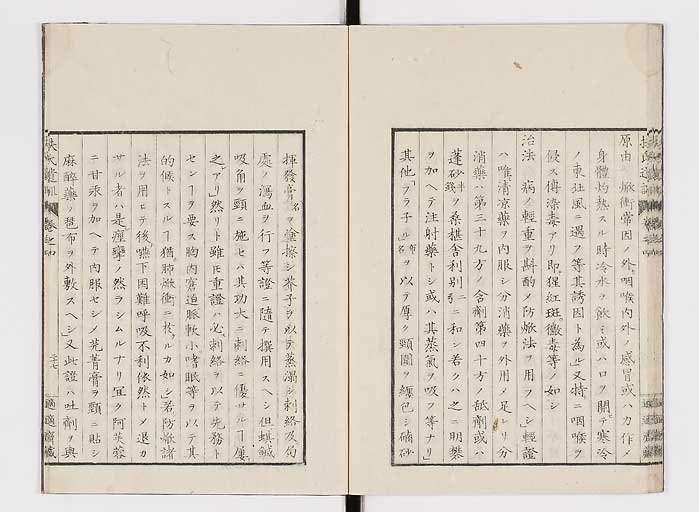 K0125s0117