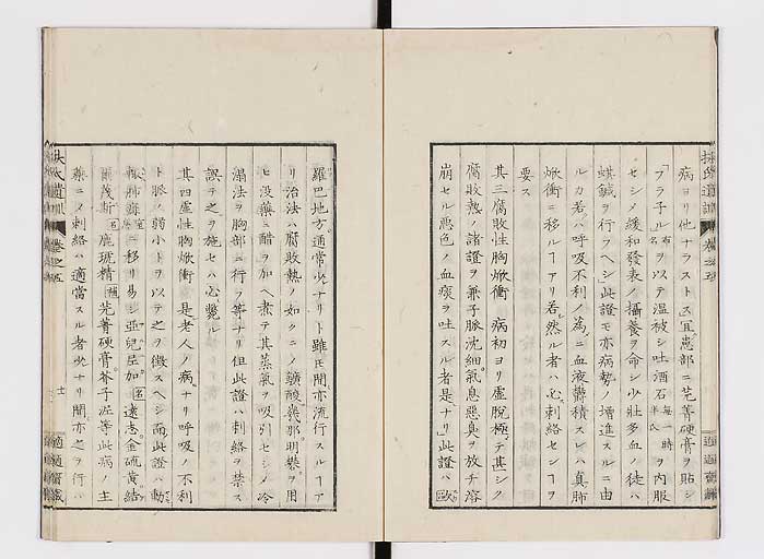 K0125s0137