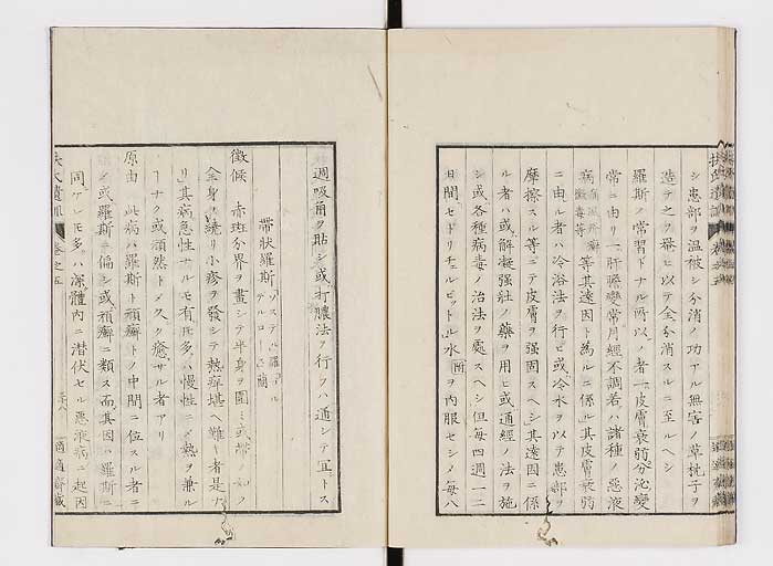 K0125s0164