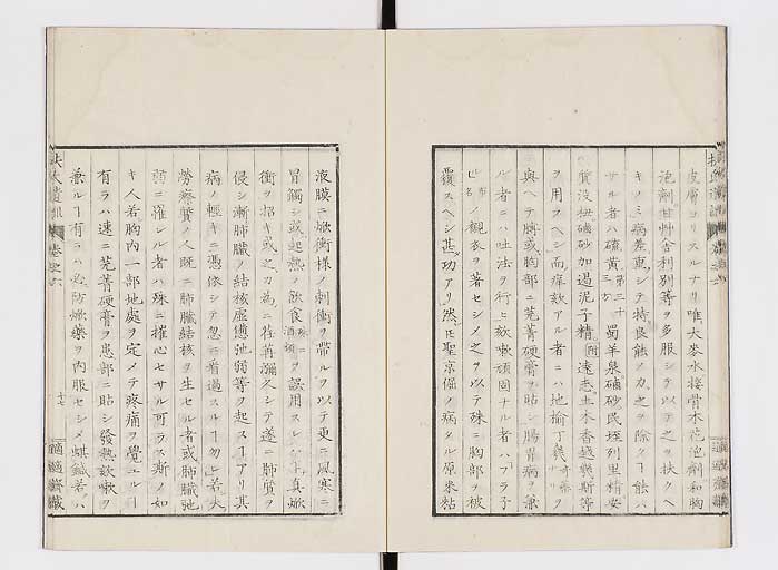K0125s0184